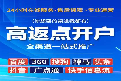 成功sem公司的策略与执行